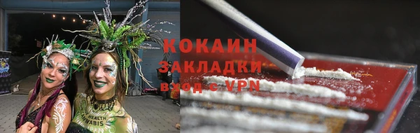 дживик Осташков