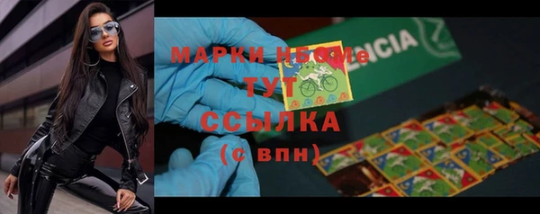 spice Няндома