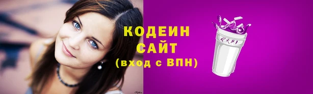 spice Няндома