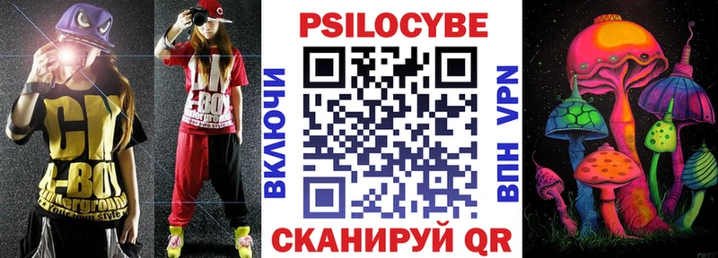 Купить  Жуков  Псилоцибиновые грибы Psilocybine cubensis 