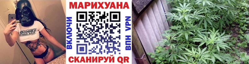 Купить Жуков Бошки марихуана LSD WEED